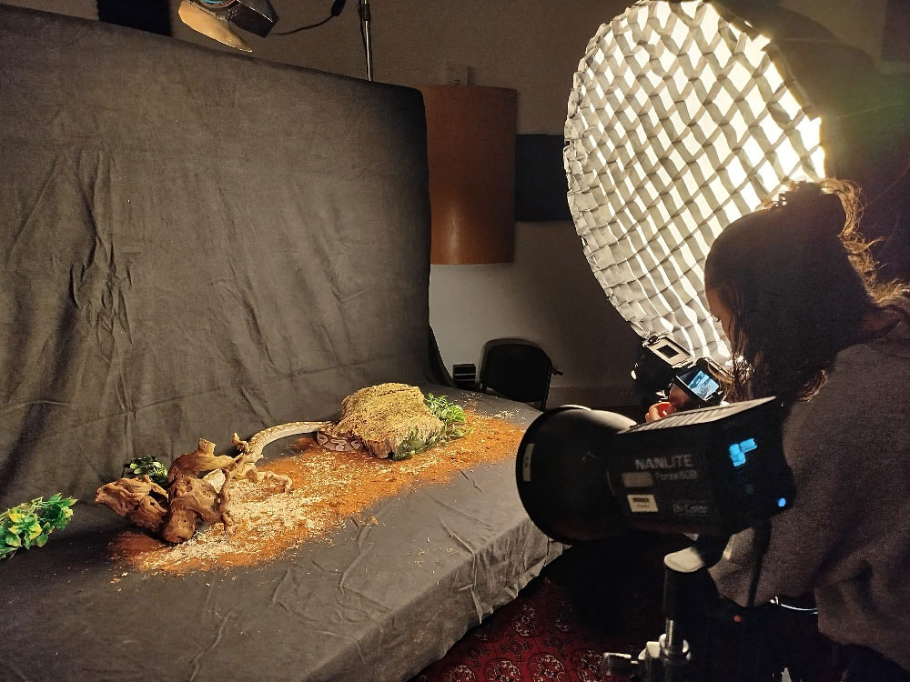 BTS-Audiovisuel-Mini-PCP6_1