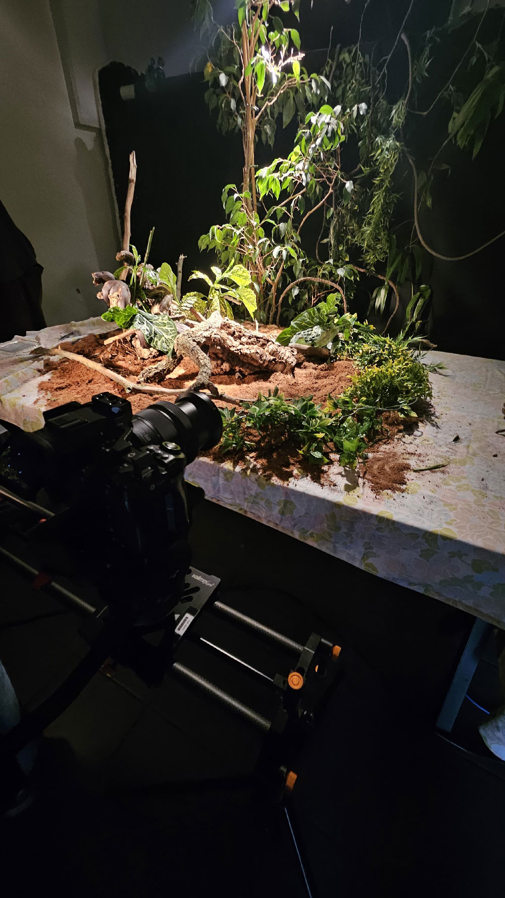 bts-aUDIOVISUEL-MINI-PCP-2_2