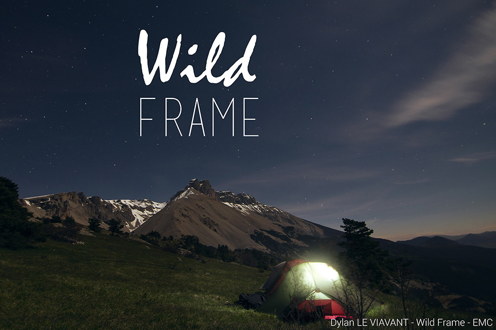 WILD-FRAME-Loups-Web